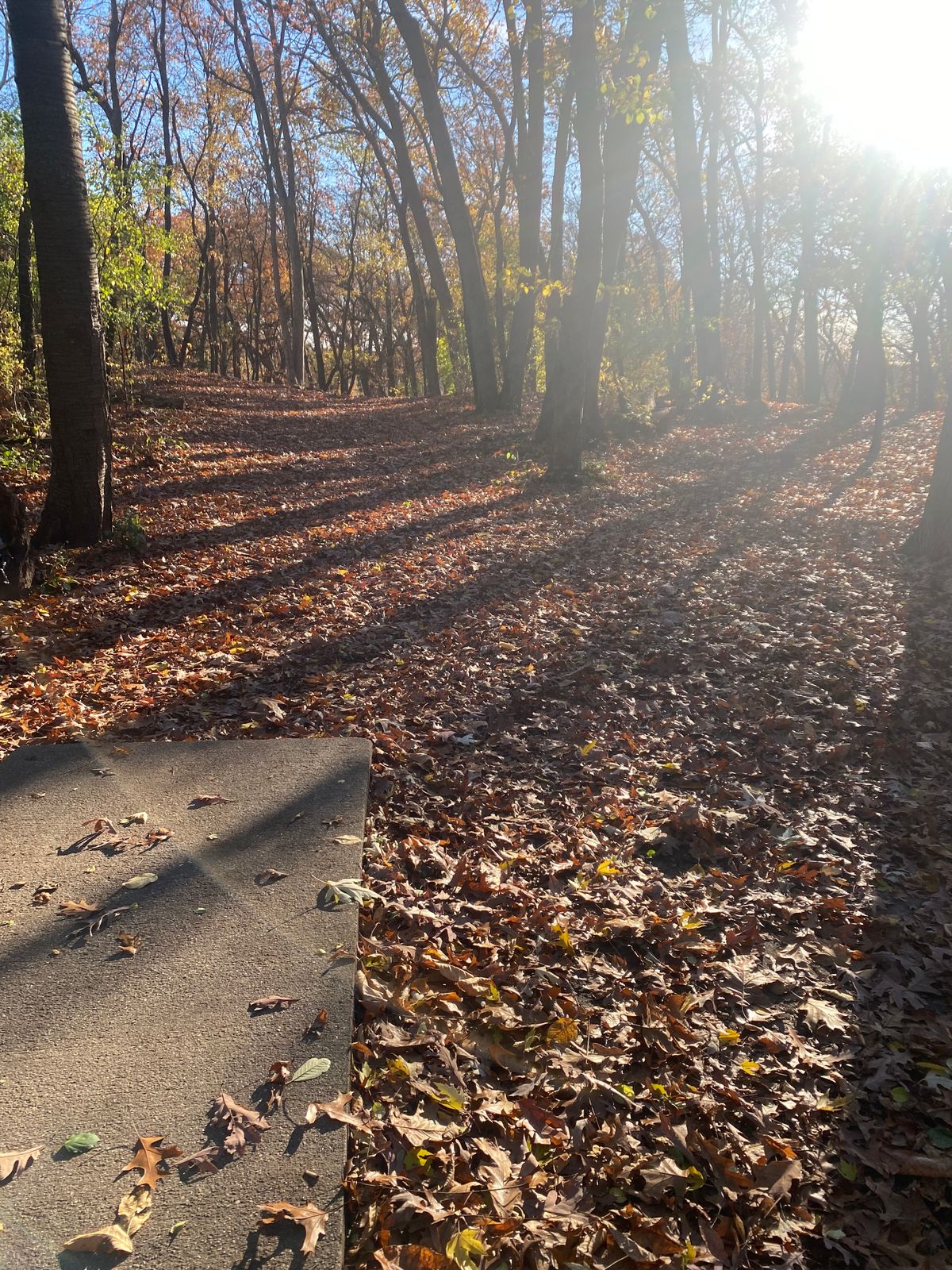 Hole 17 Tee Pad