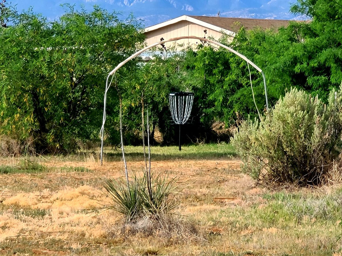 Approach shot through mando on hole 9.
