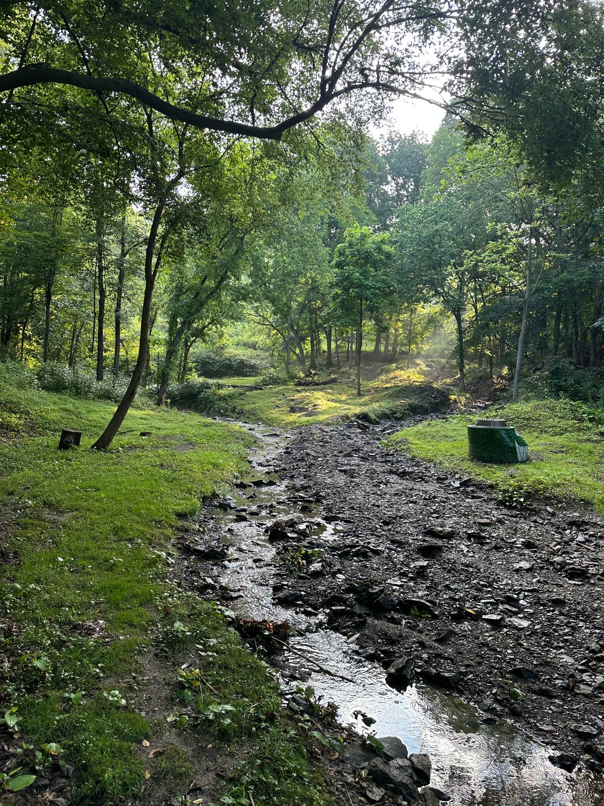 Looking back toward Tees on #5 (midpoint of fairway approach - continues uphill)
