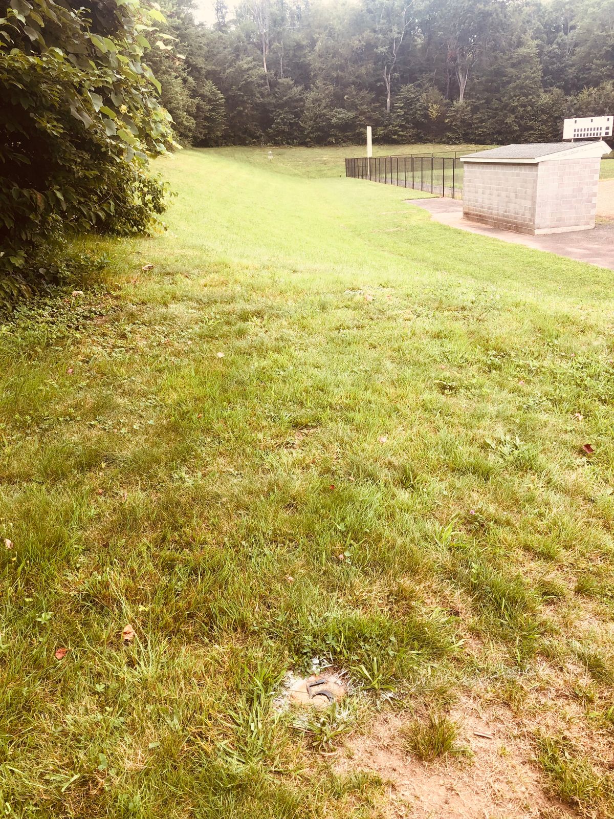 Hole 5 similar to hole 4 but a few feet longer.  Steep uphill at the basket.  