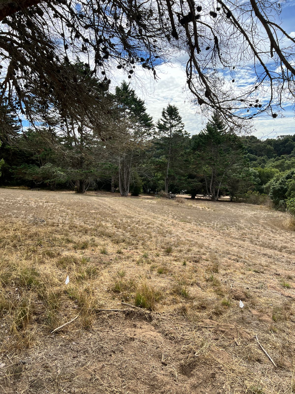 Hole 10 from the tee pad.