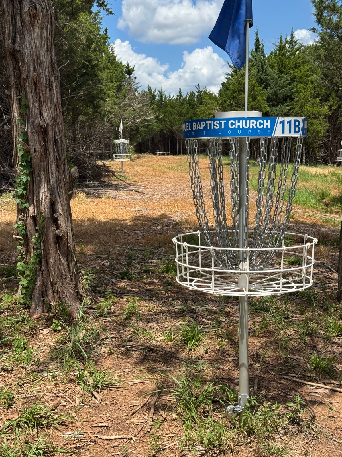 #11 from basket to tee.