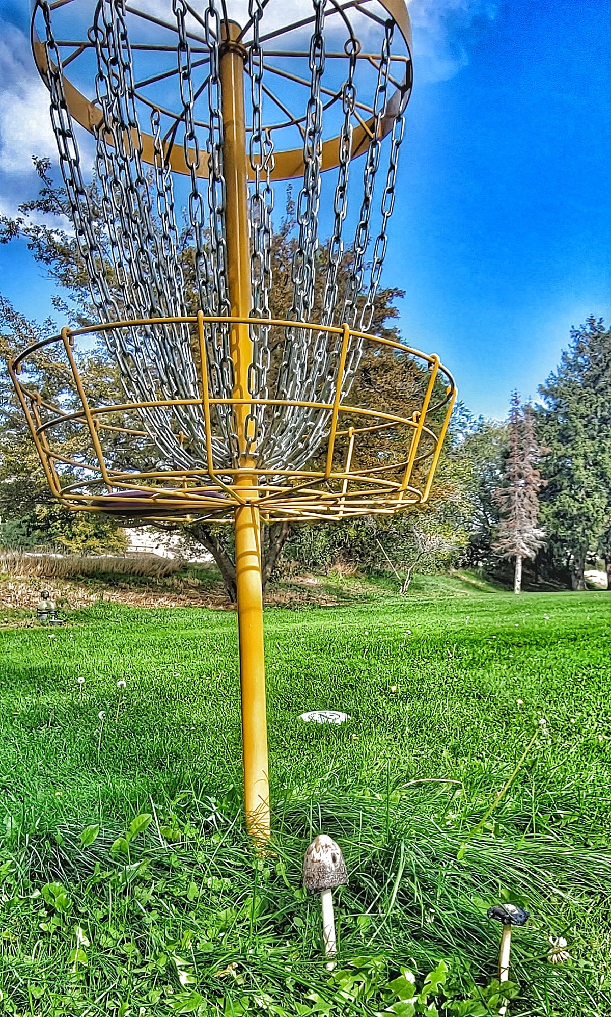 Hole #2