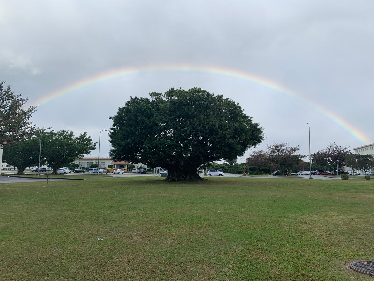Under the rainbow. 😍