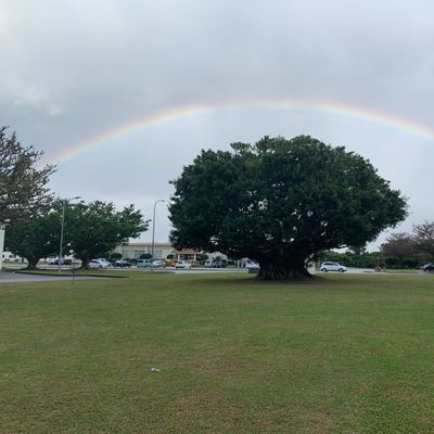 Under the rainbow. 😍
