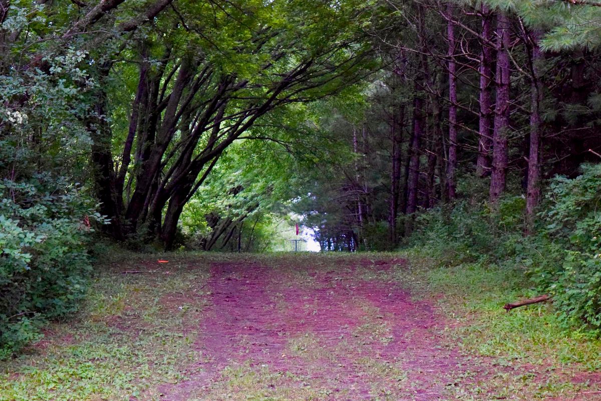 Hole 6