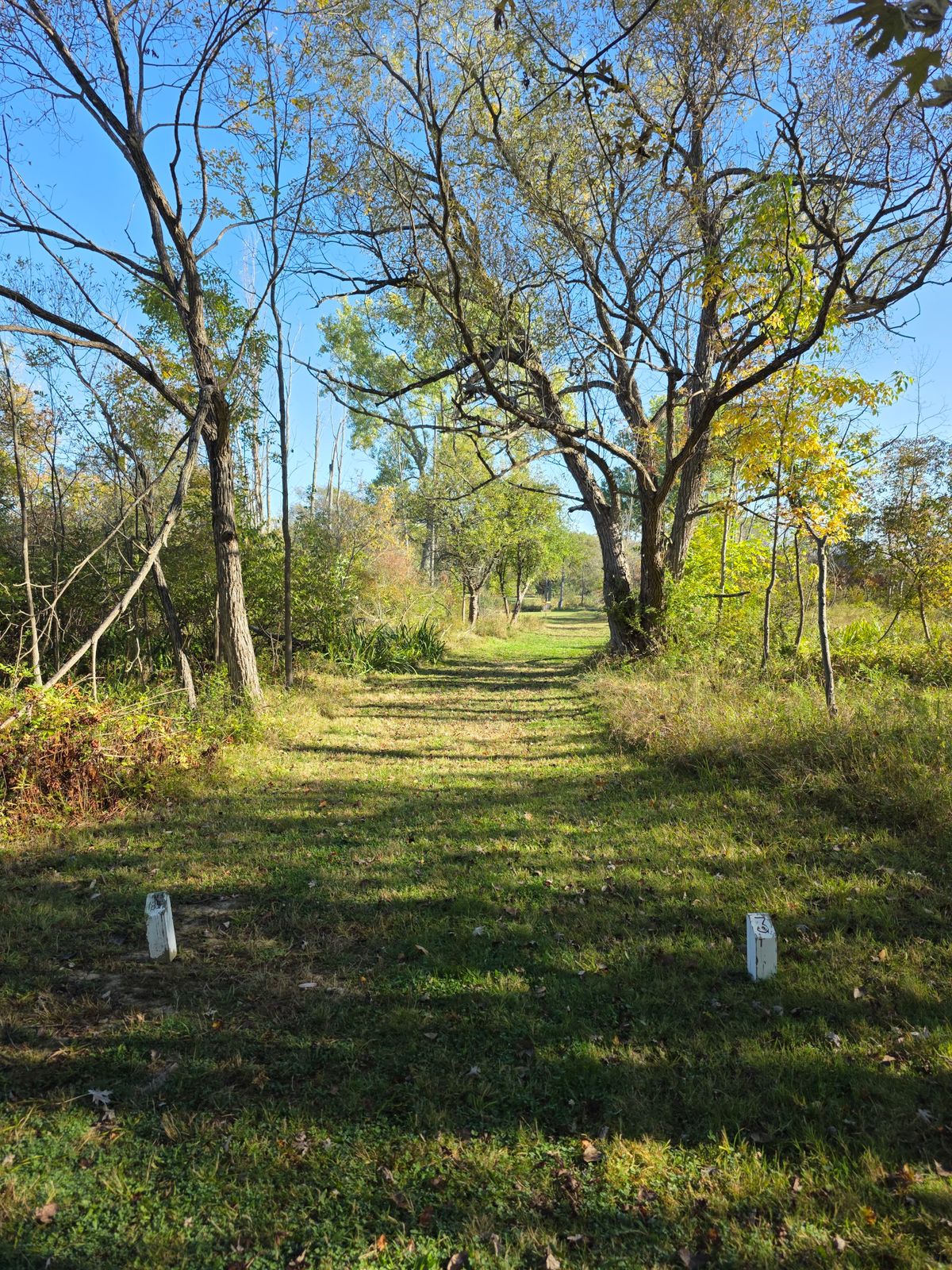 New Hole 3, September 30, 2025