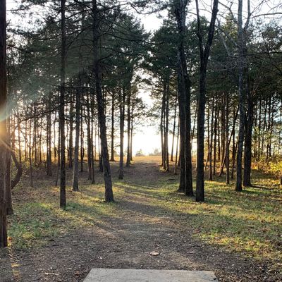 Hole 17 Tee Pad
