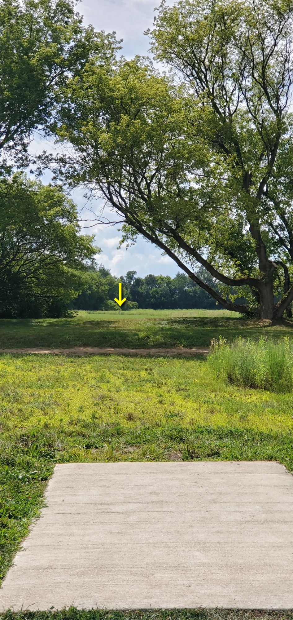 Hole 2's Tee zoomed in.