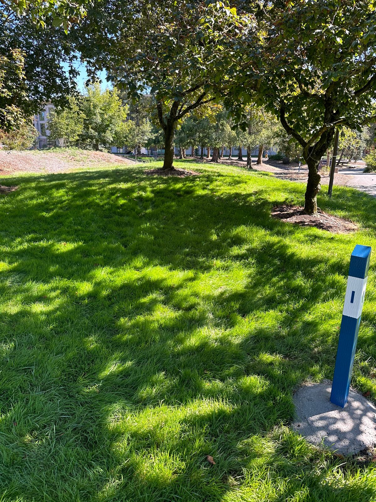 Hole 1 Tee Off area!