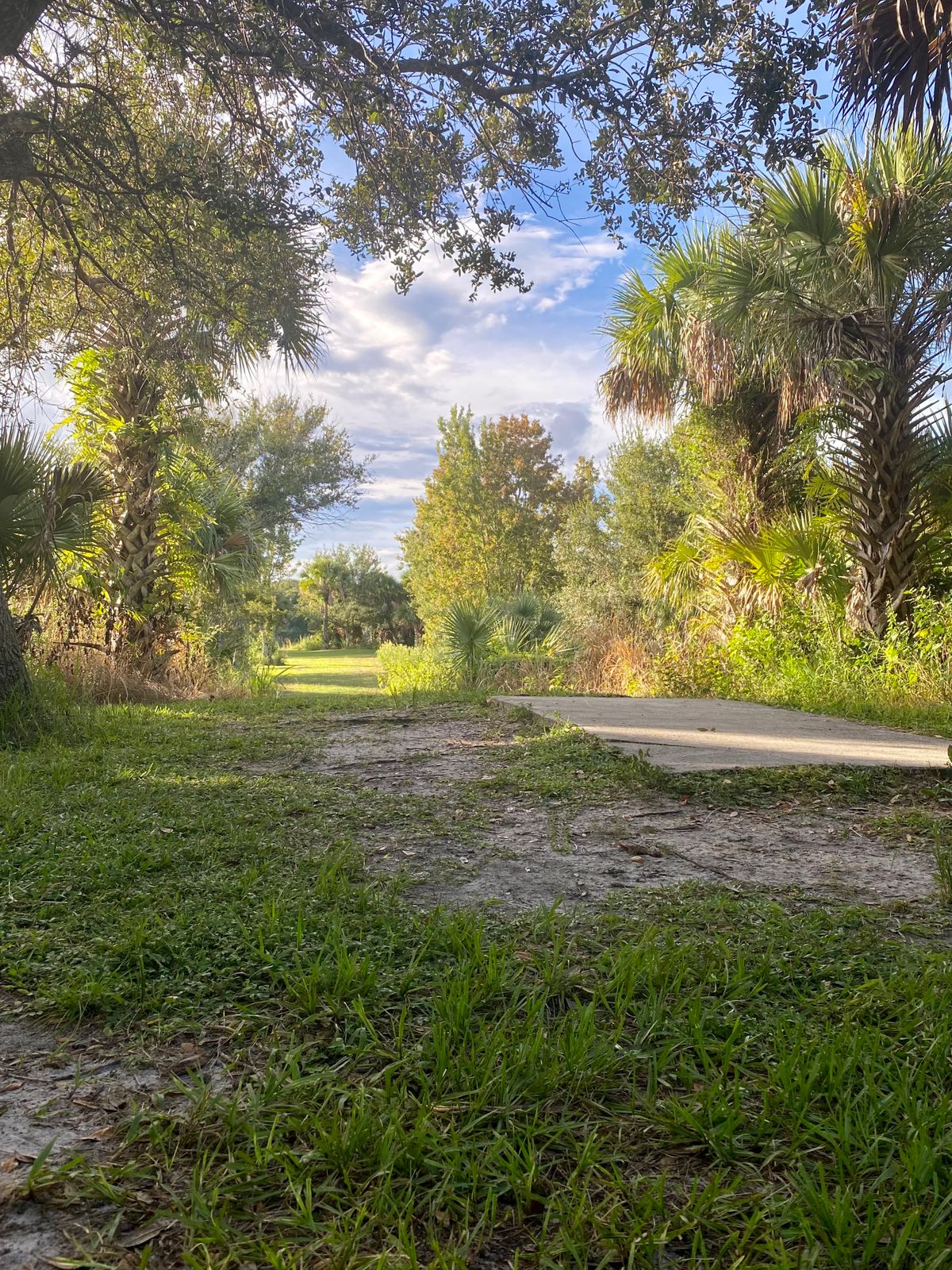 Hole #7 - Red
