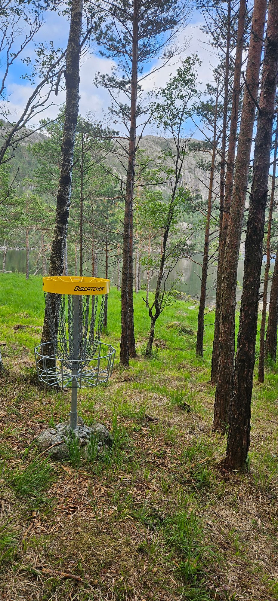 Basket hole 2