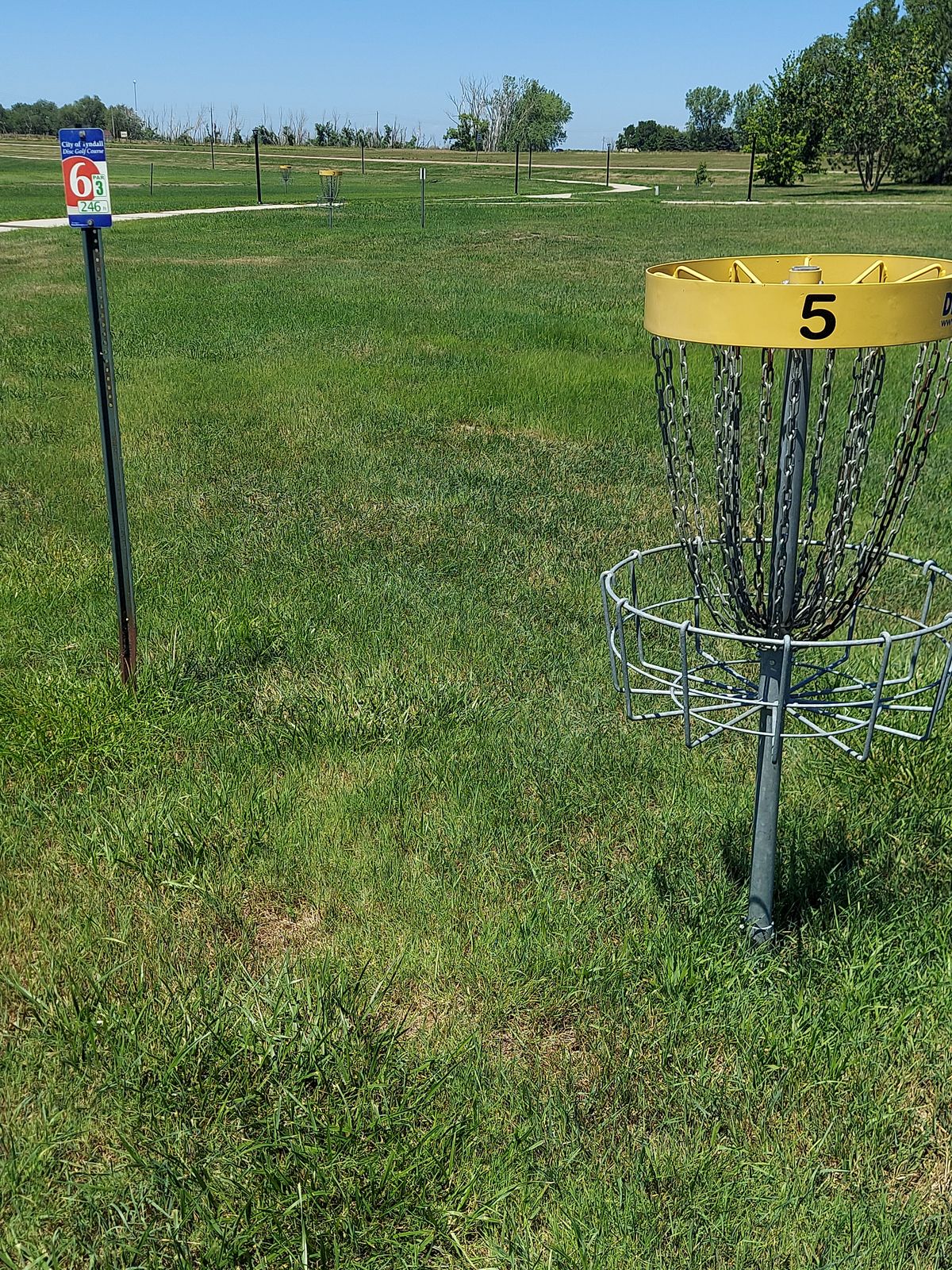 Hole 5 basket