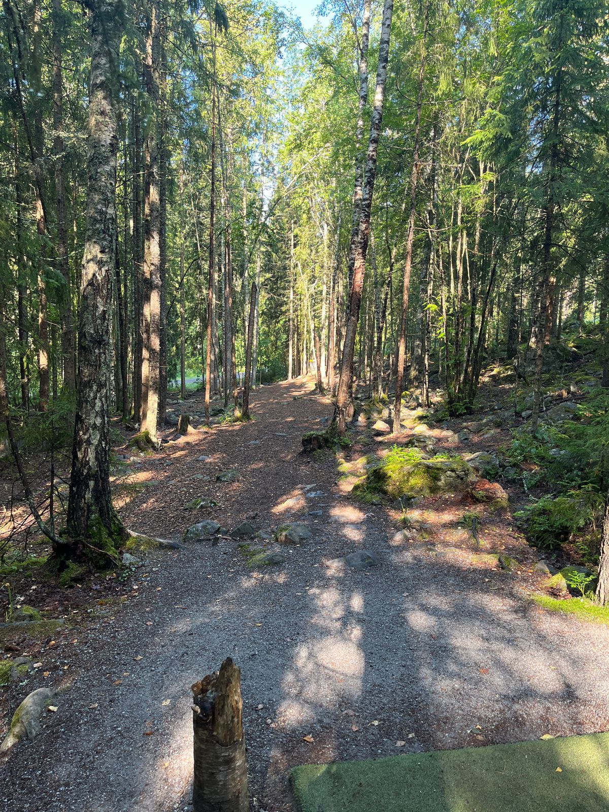 Hole 3, tee
