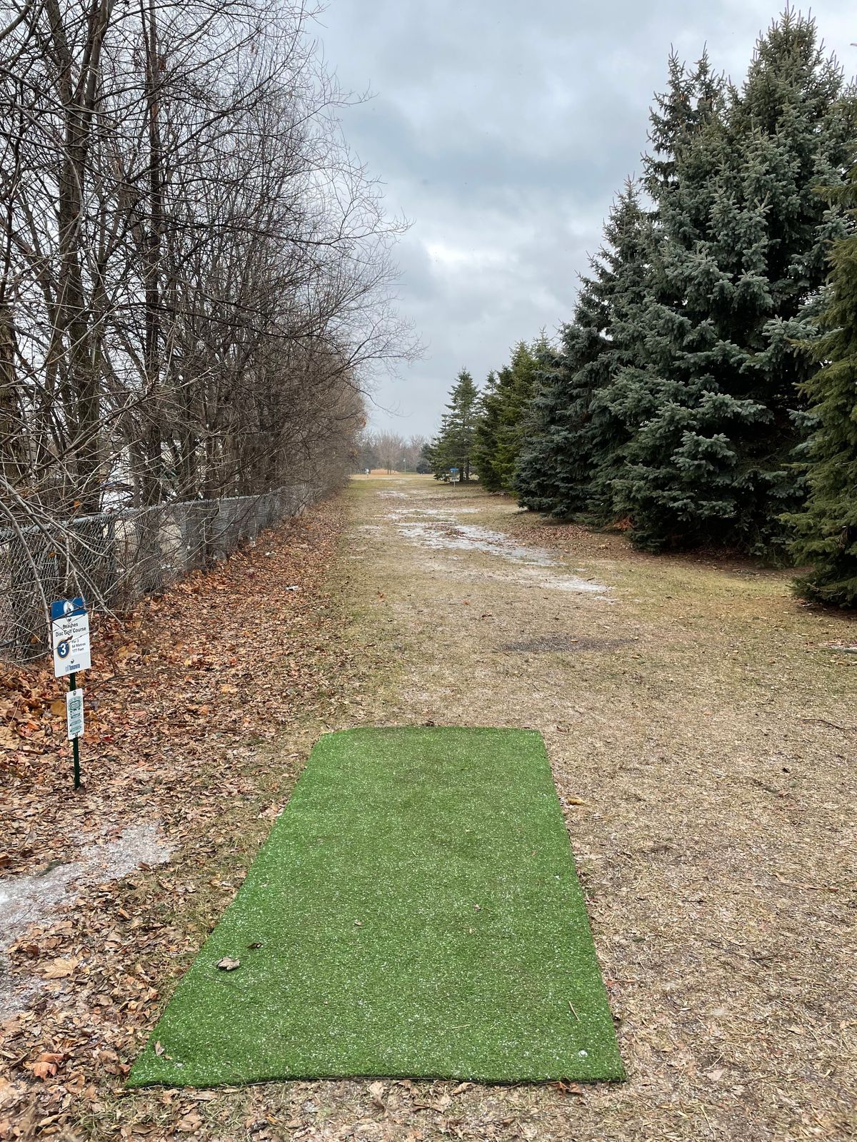 Hole 3 tee.