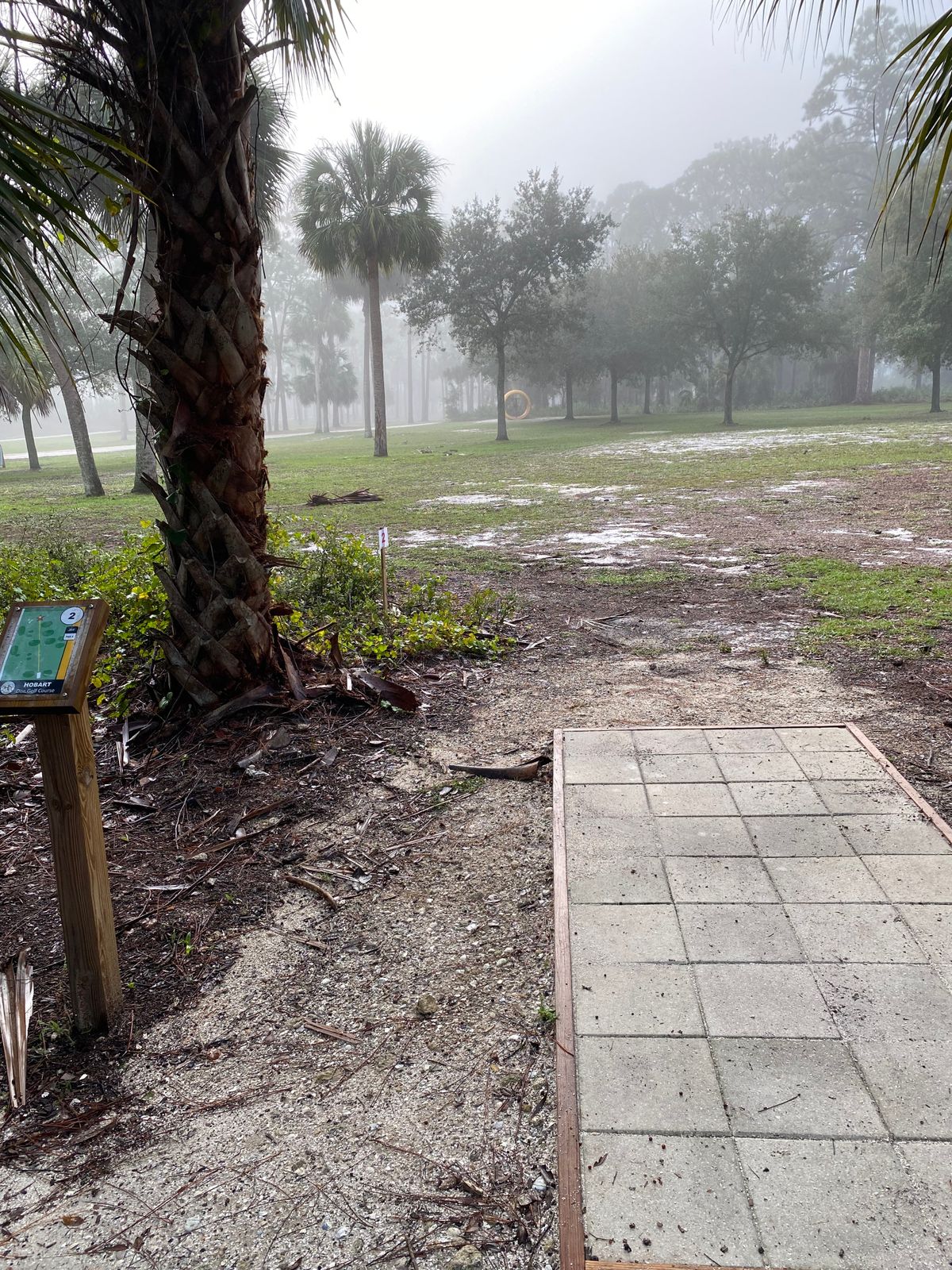 The foggy view for hole 2