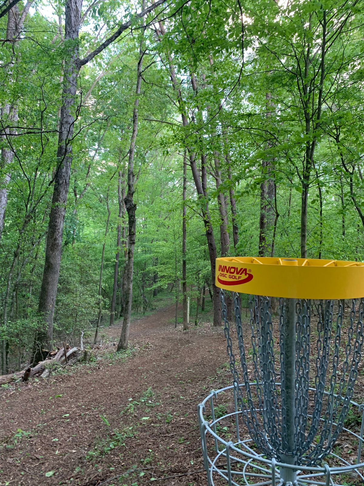 Basket Hole #9