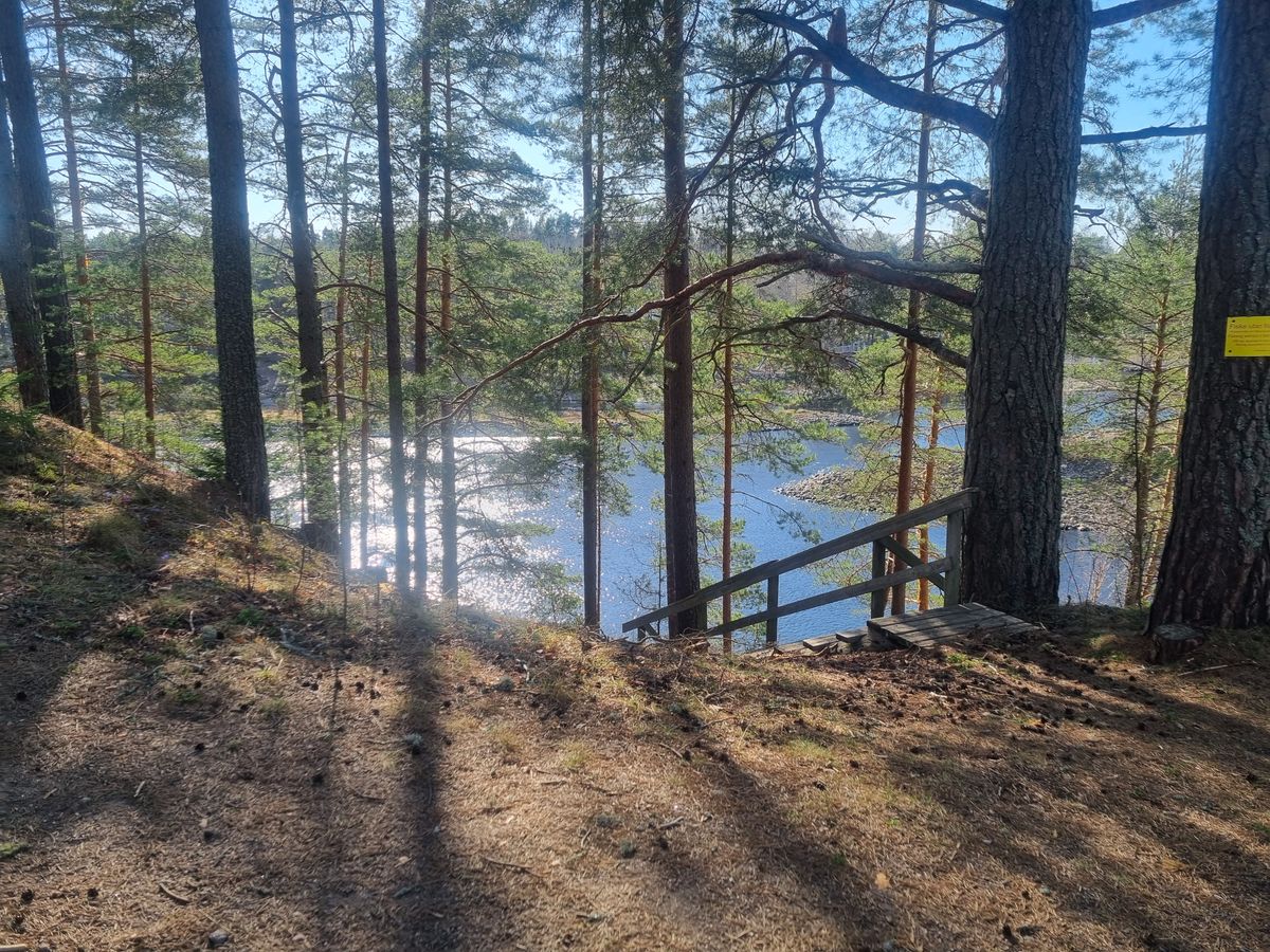 Vy över dalälven vid hål 6/15