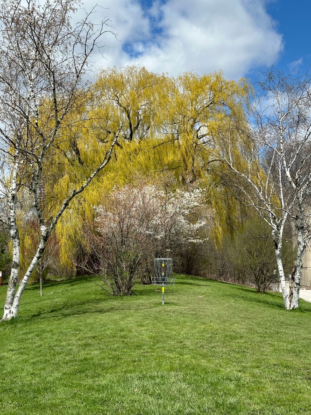 Hole 12 Short and Long (To replace the holes under construction) April 2024
