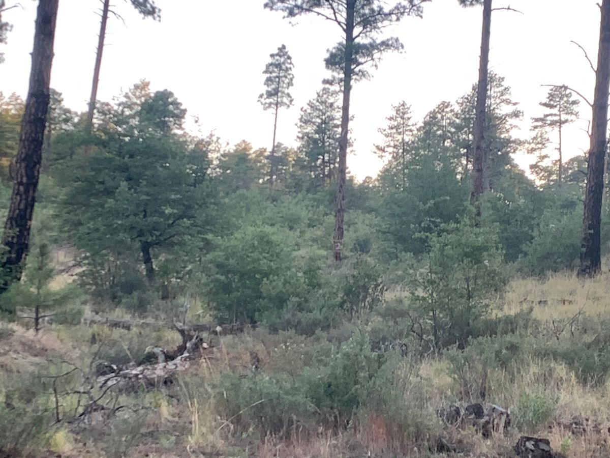 Hole 2