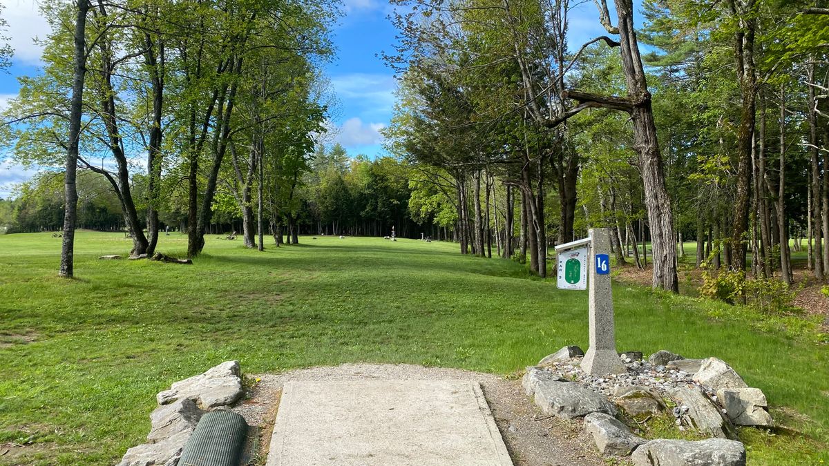 Tee of 16