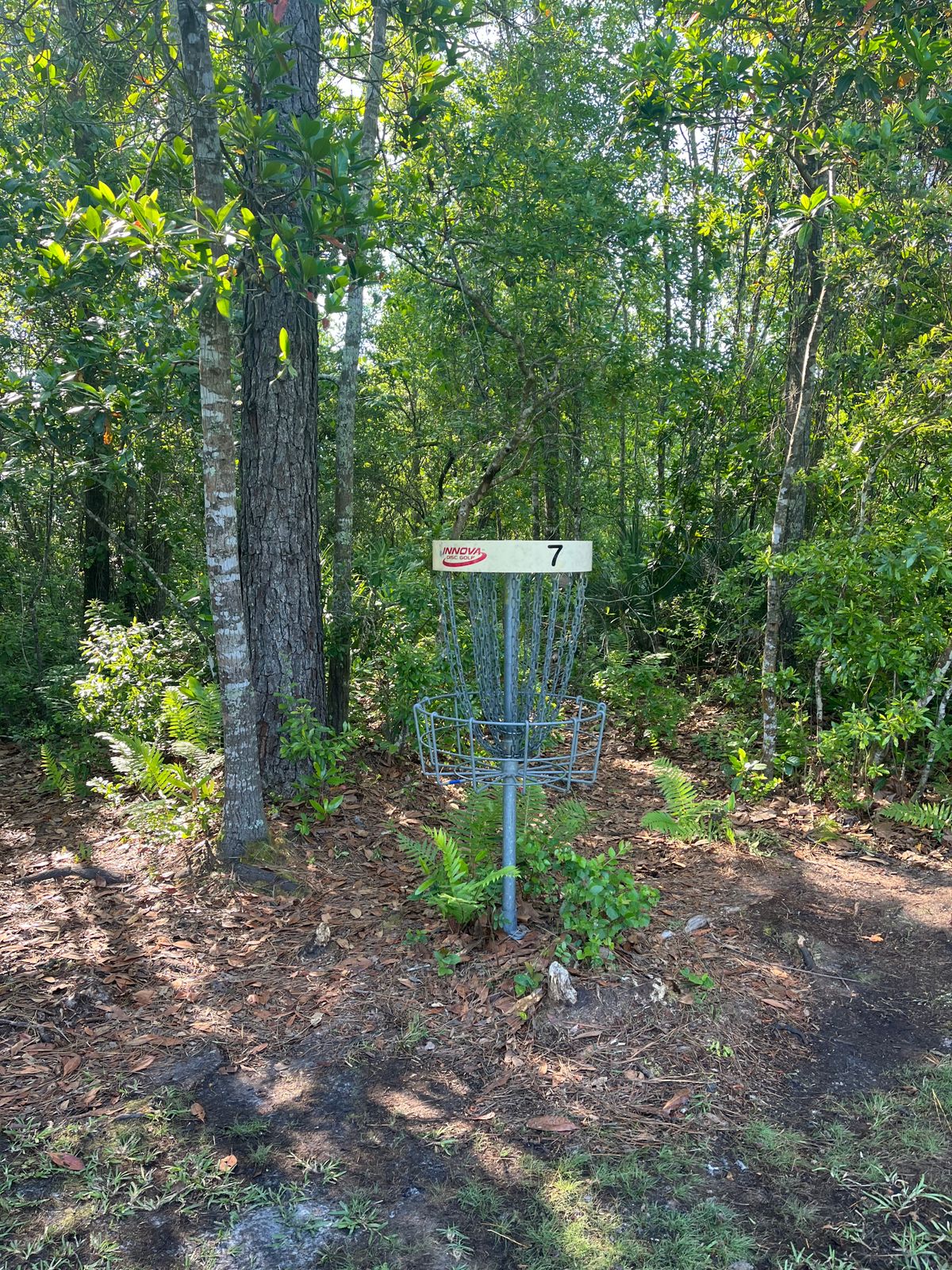 #7 yellow basket