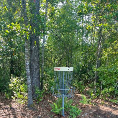 #7 yellow basket