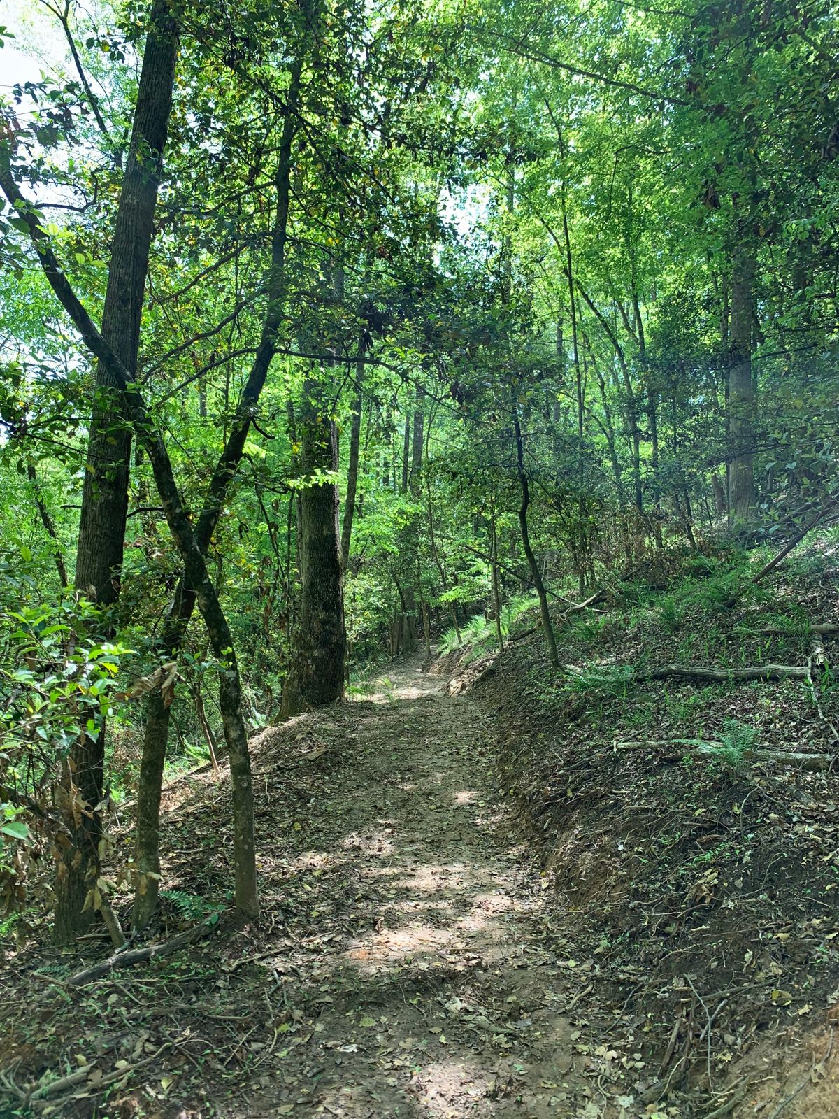 Trail between Hole #6 and Hole #7