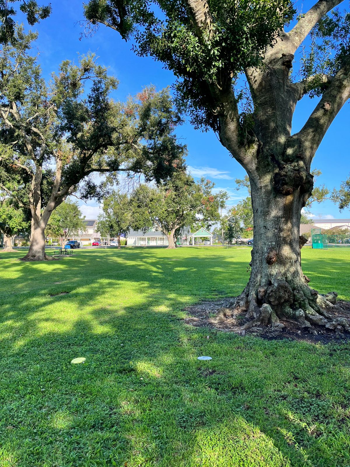 Test round with the proposed layout.