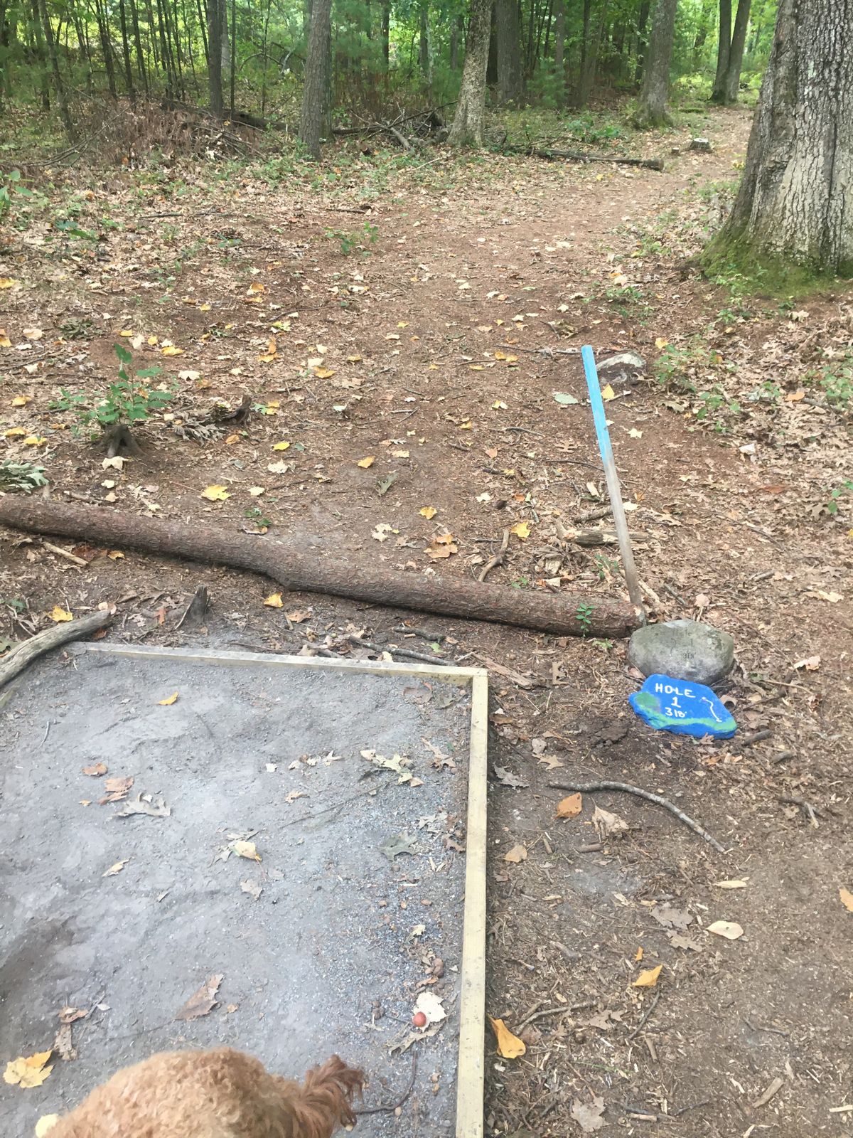 Tee pads in progress