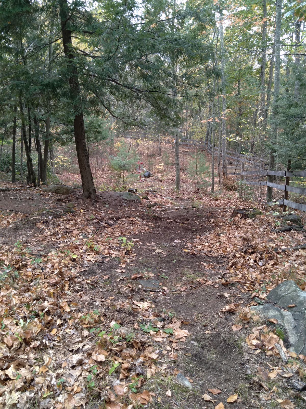 Hole 15