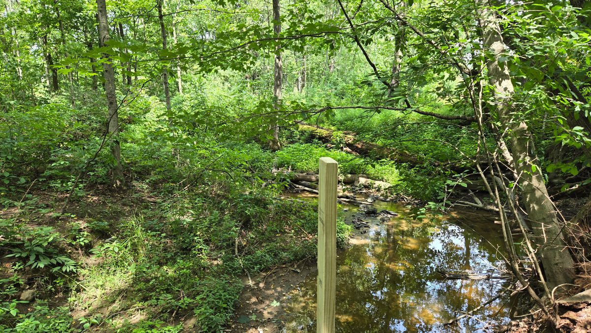 Nature application
