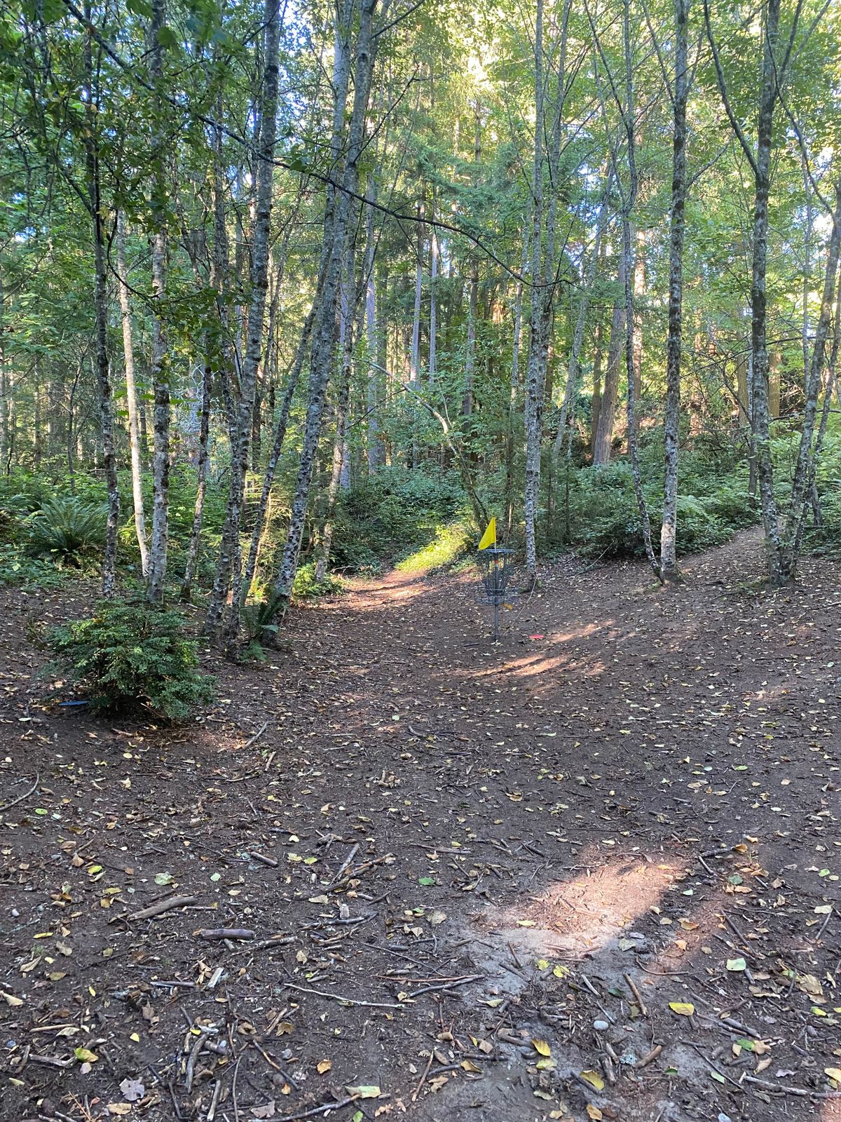 Hole 1 - Basket
