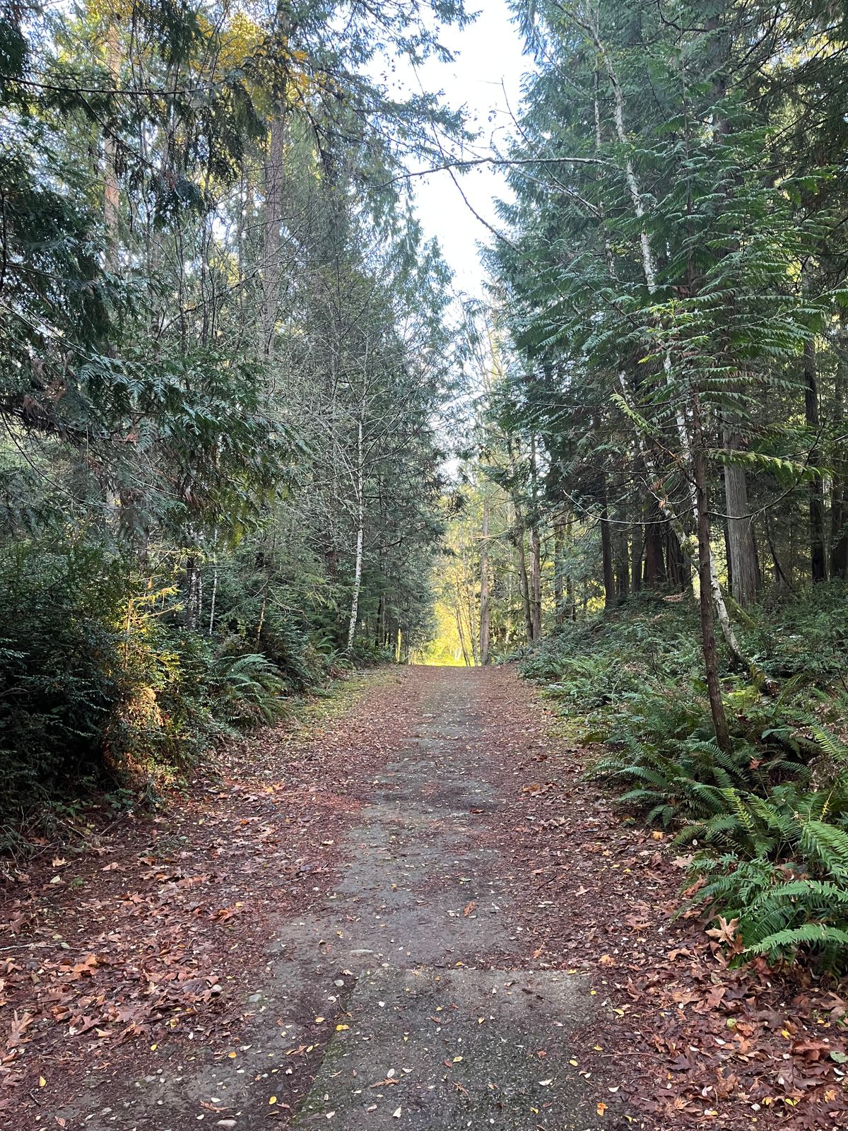 View from Tee of Hole 6
