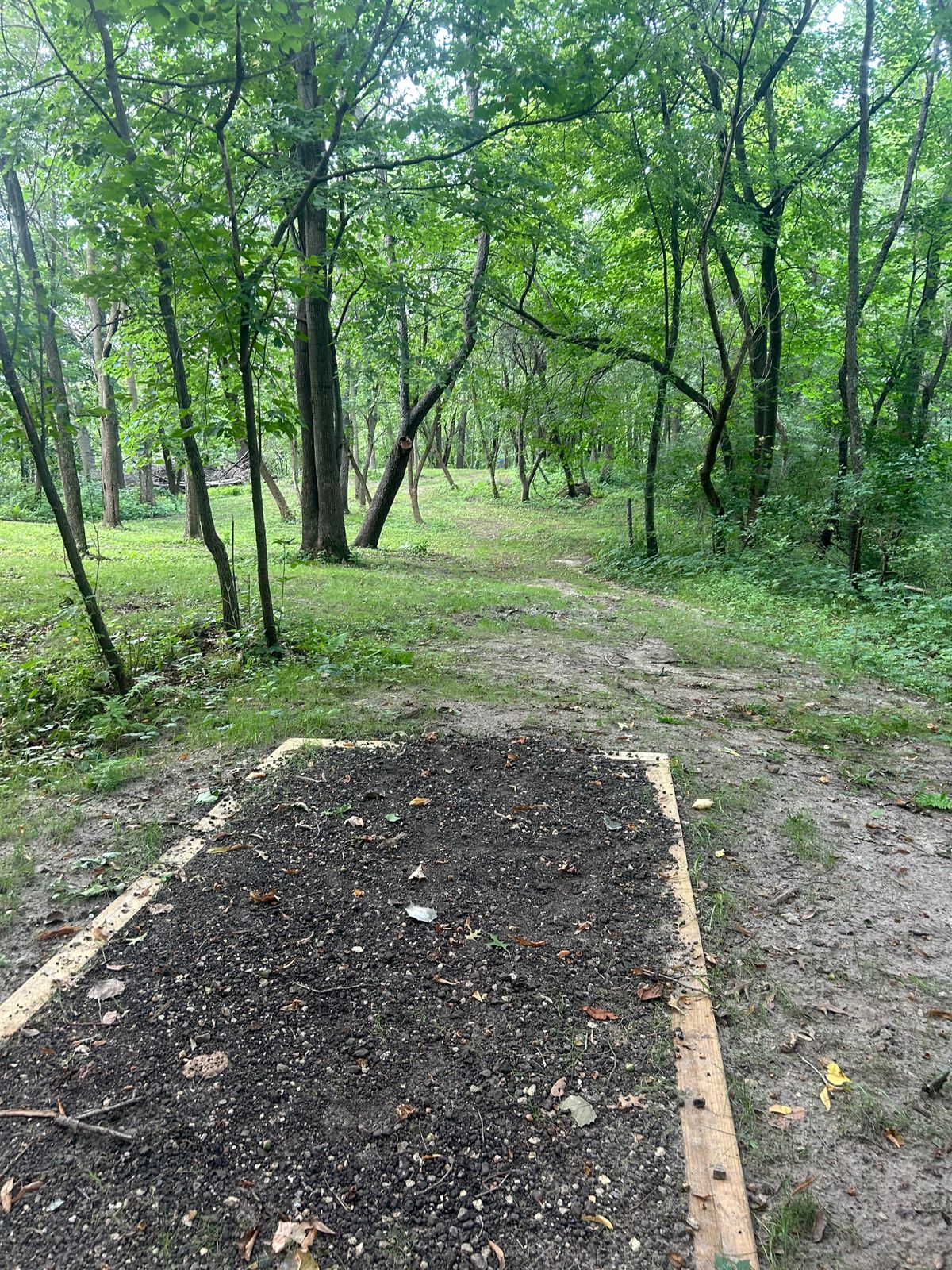 Hole 7 teepad