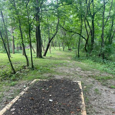 Hole 7 teepad