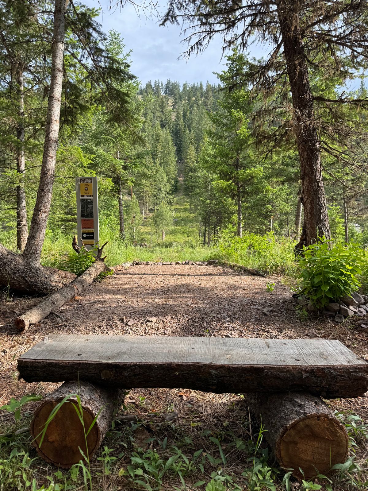 Hole 12 An uphill battle