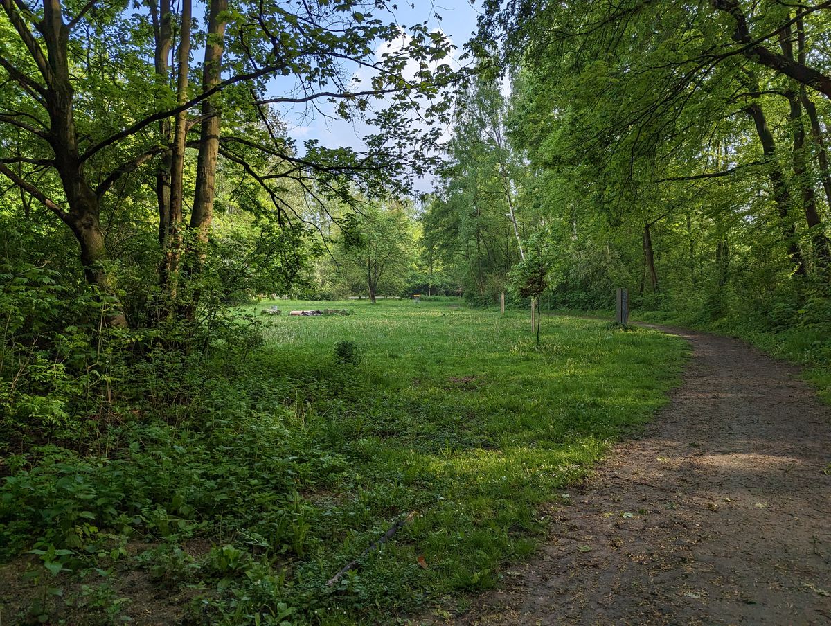 Blick ums Eck auf Korb 9