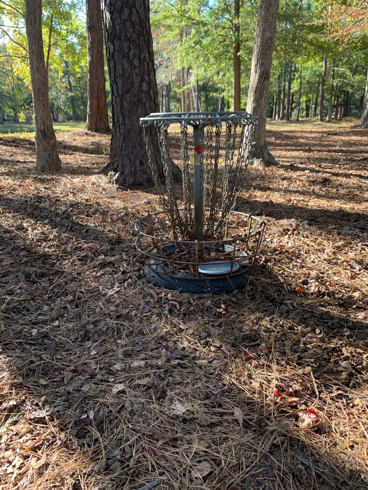 Hole 13 white basket