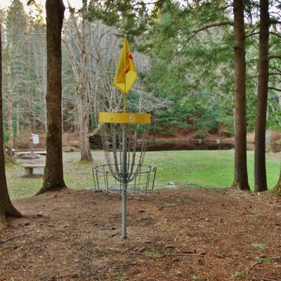 Basket 6 with Tee 7 Falcon/Eagle
