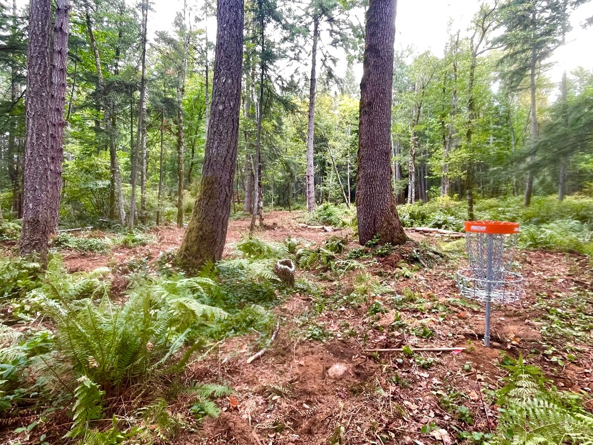 Hole 10 looking back up to split fairway