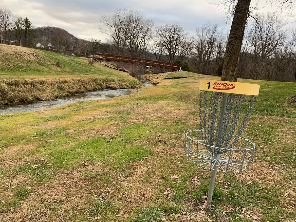 Hole 1 basket.