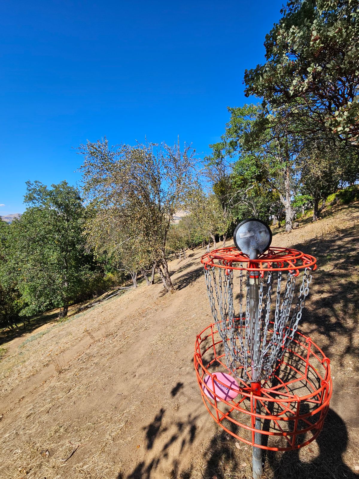 Basket 7 facing back to tee