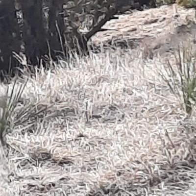 Hole 16 from top of hill