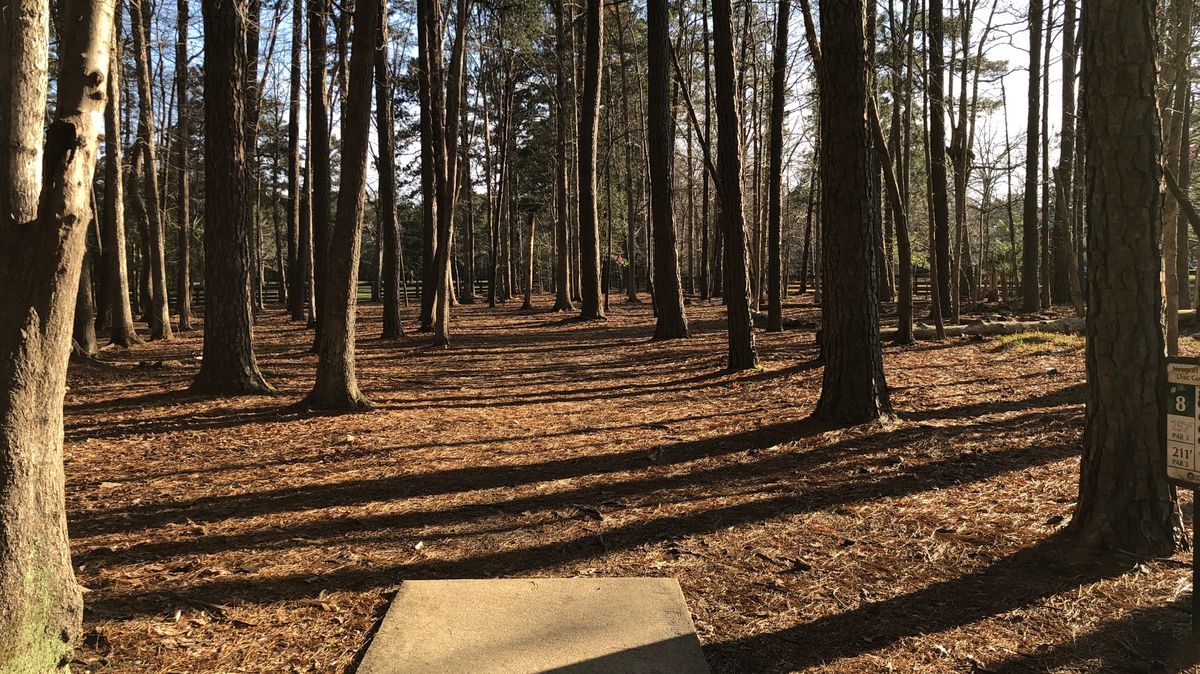 Hole 8