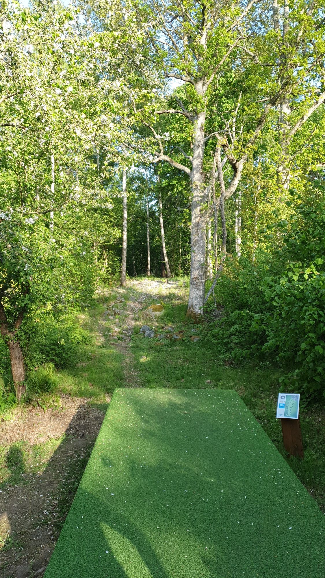 Tee hål 11