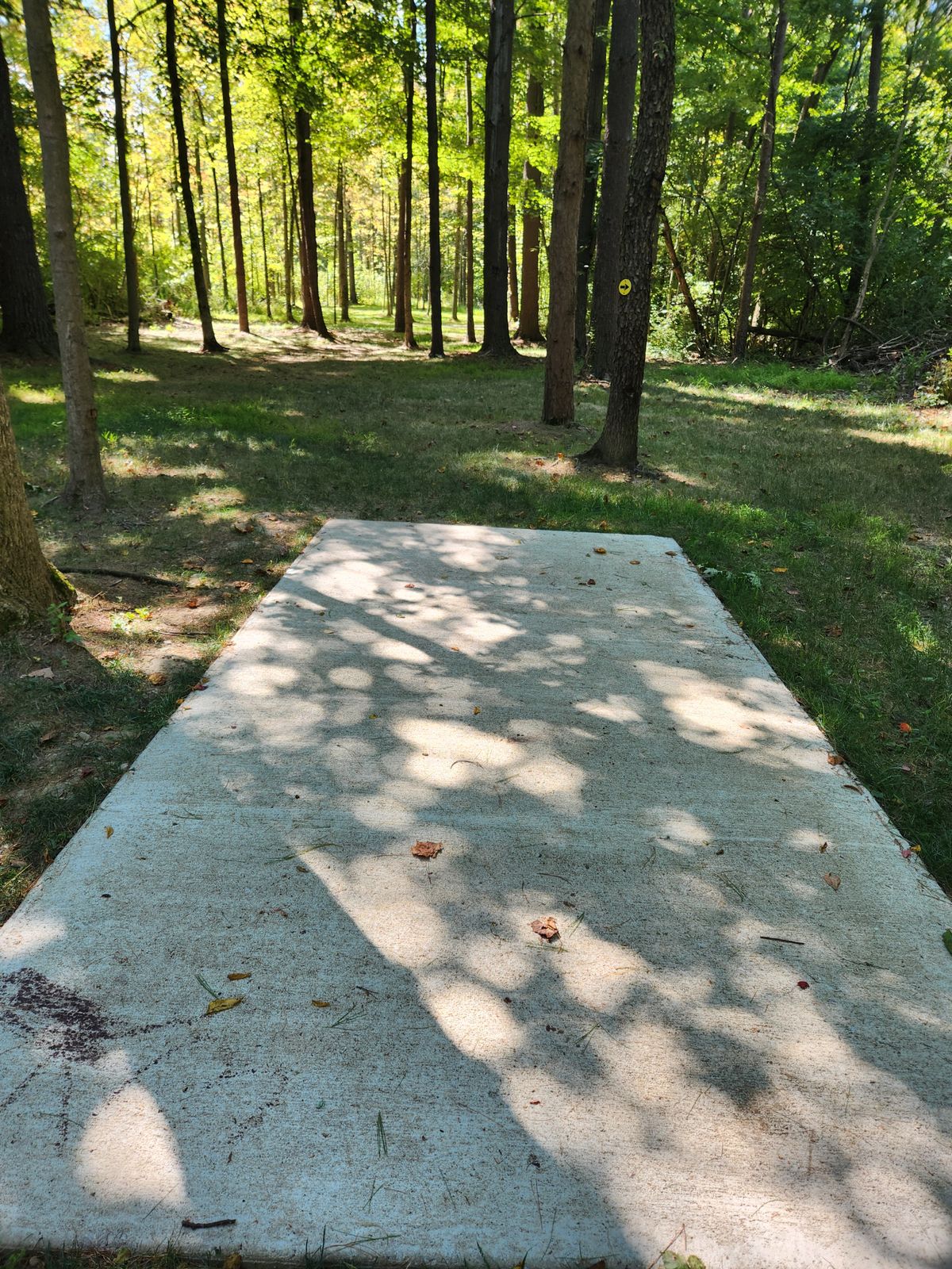 Hole 7 Blue
