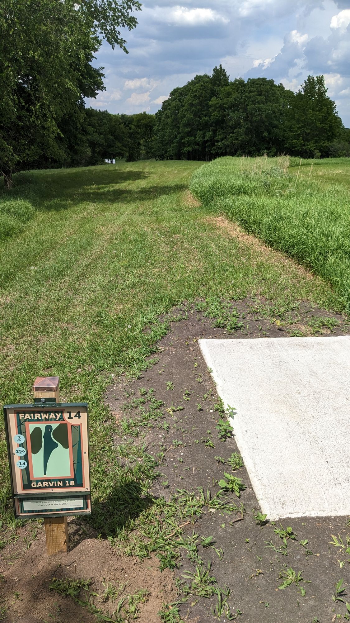 Tee 14
