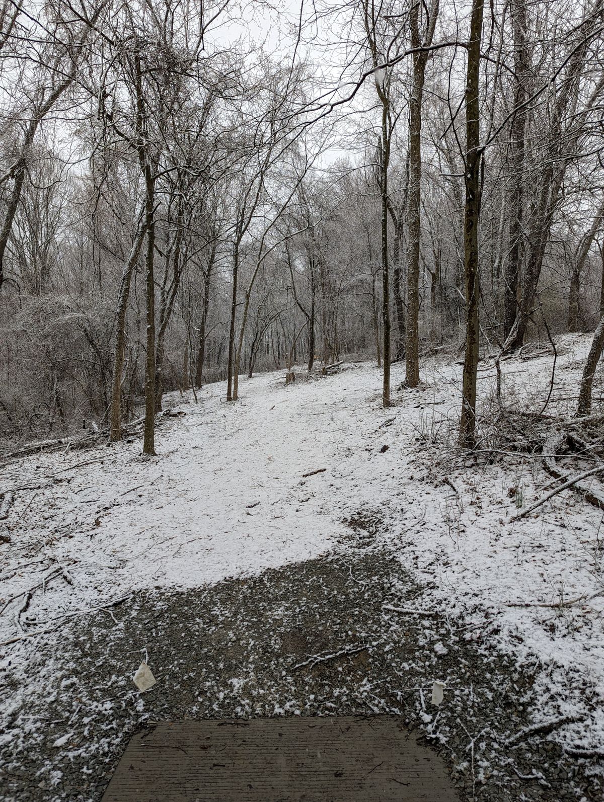 Hole 14 Short (white) tee