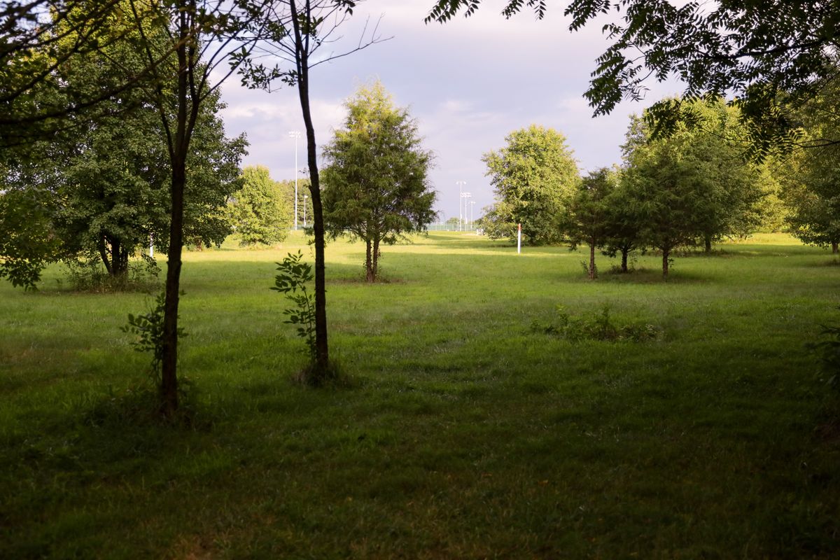 Hole 11 - long tee